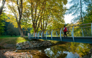 Fermeture du Parc de l'Yzeron pour Travaux